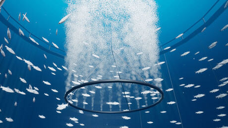 Sistema de Aireación Sea Pen para proteger sus peces.